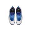 Jordan 10 Ретро Шарлотта 2016 310805-107