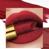 Матовая помада 10 цветов Velvet Non-stick Lip Glaze Высокопигментированный Стойкий блеск для губ Honey Lip Gloss