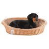 Wicker Lounger For Dogs, Cats And Other Animals Vi