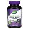 Sambucus, Immunity Gummies, Elderberry, 60 Gummies