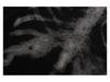 Худи унисекс с принтом рентгеновского снимка GLFS Skeleton, с длинным рукавом, Коллекция Осень/Зима