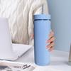 500ml Skinny Tumbler with Lid And Straw Double Wall Sippy Cup BPA-Free Tumblers Insulated Travel Mug for Iced Coffee Reusable Party