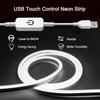 Сенсорные неоновые светодиодные ленты USB 5 В с регулируемой яркостью 120 светодиодов/м DIY домашний декор гибкая лента неоновые вывески пояс водонепроницаемый светильник лампа