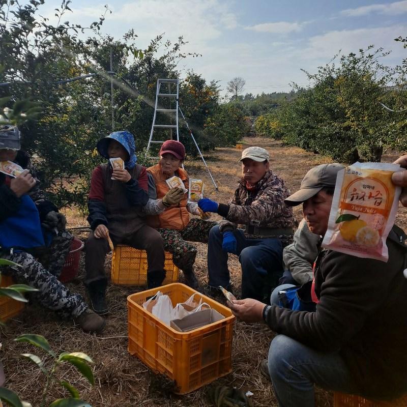 Сок юдзу из Кохын, полезный для бронхов, мамин сок юдзу, 120 мл, 30 штук