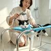 Folding Dog Grooming Table 6-Hole Pet Washing Station Cat Bathing Restraint Rack  Picking Ears