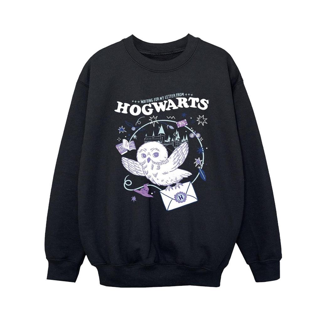 HARRY POTTER Свитшот для мальчиков 'Сова Письмо из Хогвартса'