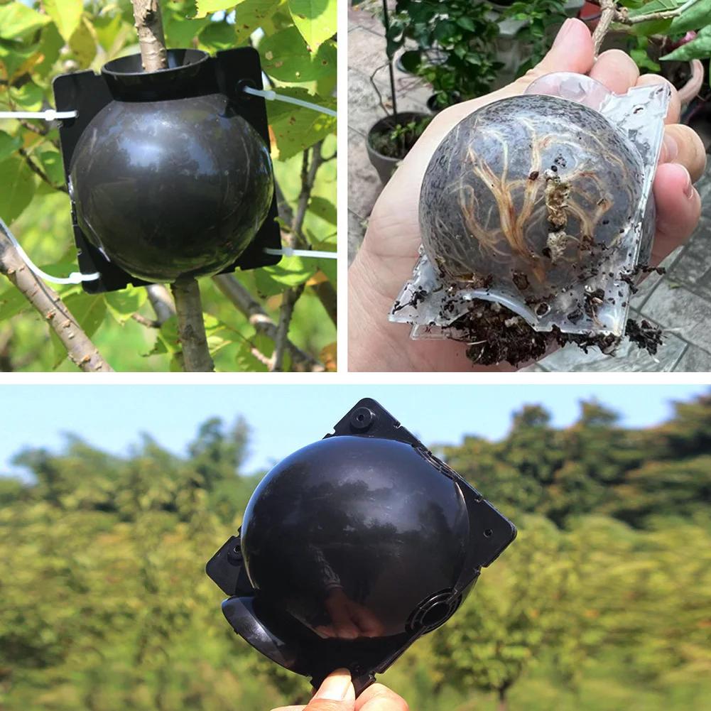 Plant Root Growing Box Reusable Cutting Grafting Rooting Ball Garden Propagation S Breeding Equipment Rooting Ball