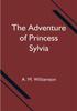 Книга The Adventure Of Princess Sylvia by A. M. Williamson - Paperback