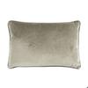 Taupe Velvet Cushion 60x40