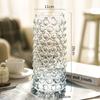 Rui Jie Nordic Light Luxury Waterdrop Bubble Glass Vase