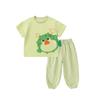 Dudujia Kids' Summer T-Shirt & Mosquito Pants Set