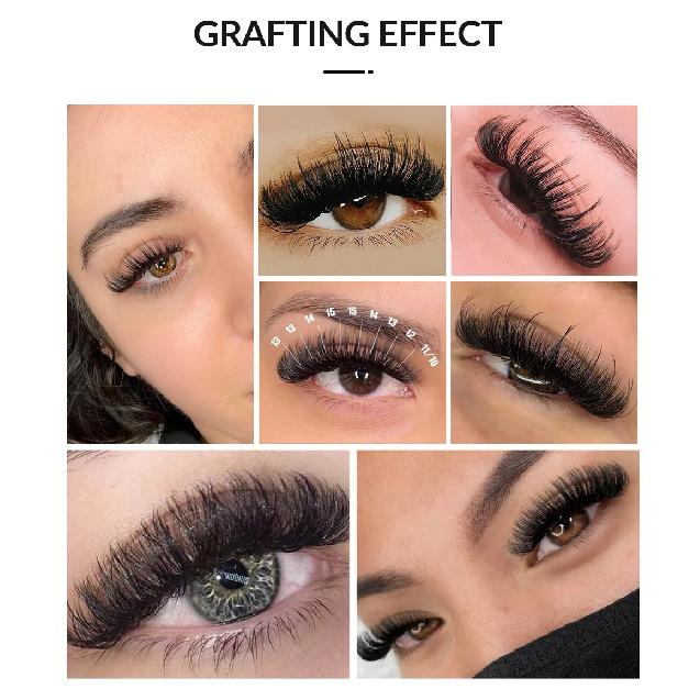 Abonnie J Curl Ellipse Flat Lashes Fluffy Volume Eyelash Extension Natural Soft Eyelashes