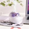 Eternal Flower Air Humidifier 200ML Mini USB Home Atmosphere Night Light Festival Gift Creative Artificial Christmas Diffuser