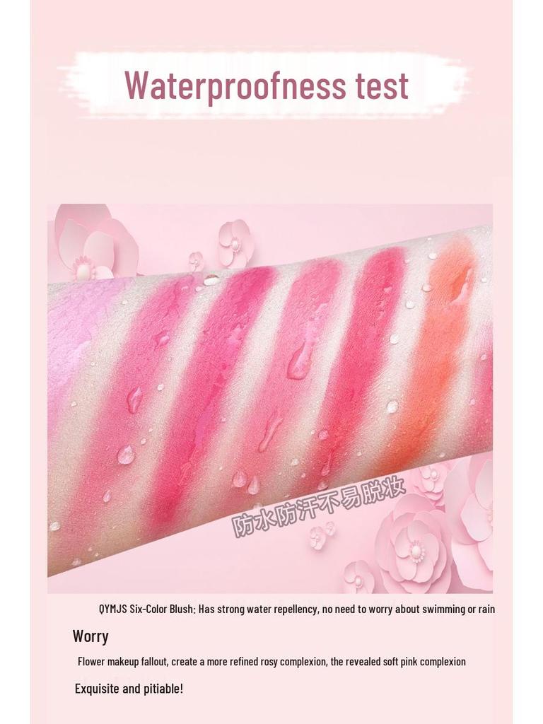 Палитра румян из шести цветов: Большой многотональный румянец для визажистов и студентов - Идеально для студии и сцены.