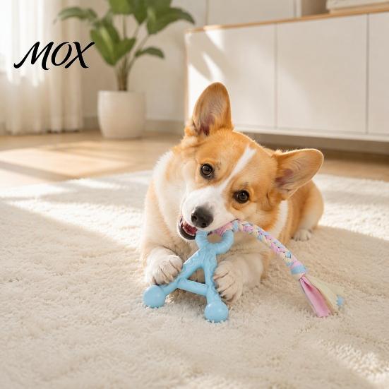 Pet Boredom Relief Toys A-Letter Dog Chew Toy with Braided Rope, Tug of War TPR Toy, Puppy Teeth Cleaning for Small Medium Breed Dogs Chewing