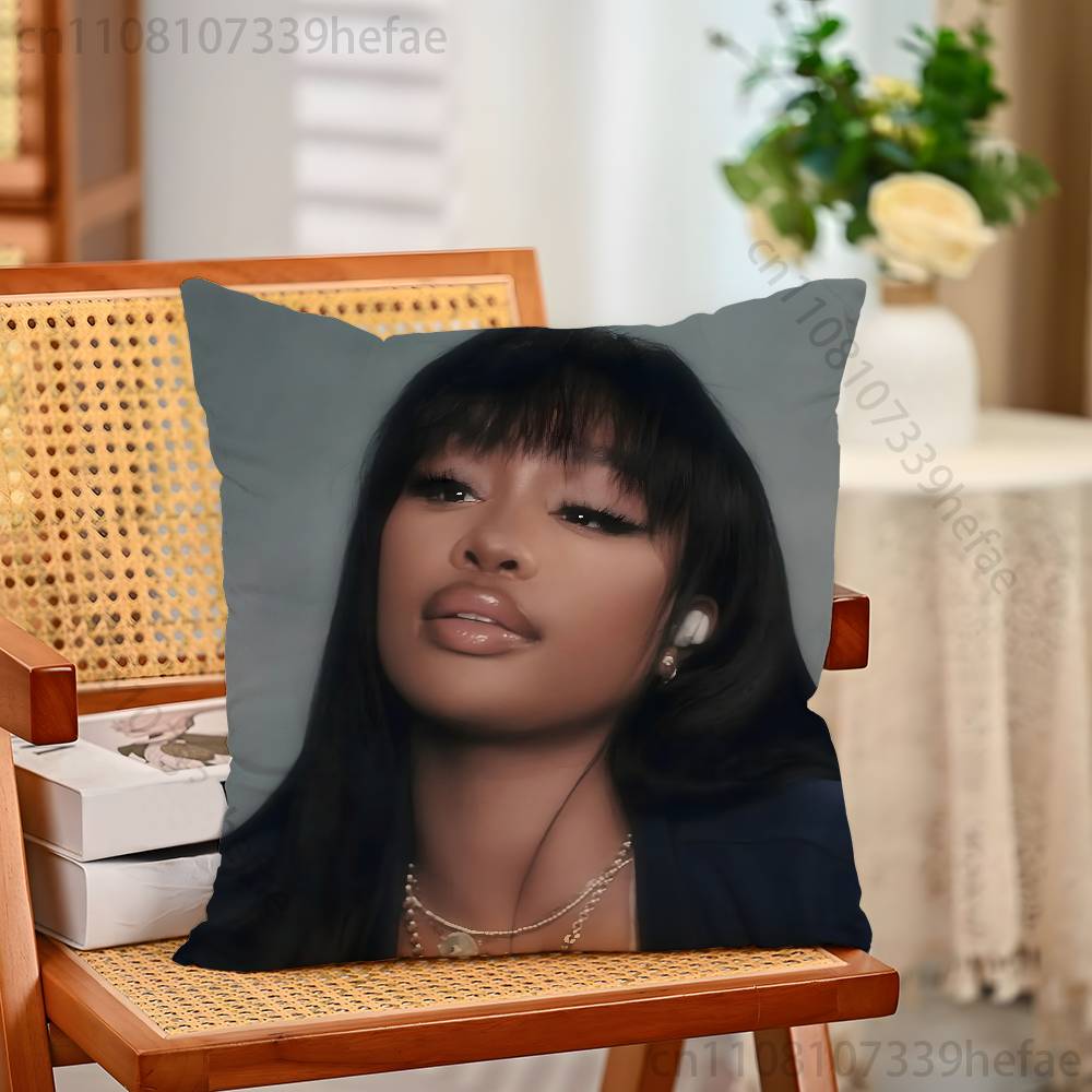 Singer SSZA Throw Pillow Case For Decoration 30cm 50cm 55cm Square Home Pillowcase Case