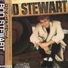 LP Record ROD STEWART - Rod Stewart P13313 WARNER BROS 1986 Japan Obi Rock Used