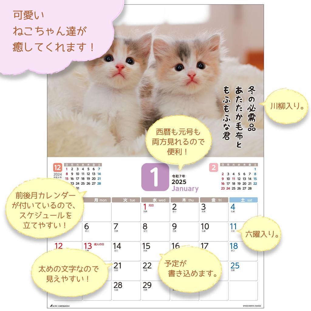 Календарь Active Corporation 2025 Настенный, потому что это кот. 25ACL-66 Начиная с января 2025 г.