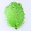 15-20 20-25 30-35CM Natural Ostrich feathers Centerpiece Multicolor Ostrich Feathers Party Table Vase Decoration plumas 10PCS