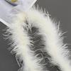 Colorful Ostrich Feather Strips for DIY Dance Costumes & Accessories