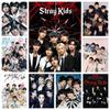 Популярная Kpop S-Stray Kids 5D DIY Полная круглая Алмазная мозаика Домашняя Гостиная Спальня Эстетика Бар