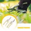 Pruning Shears Branch Shears Picking Fruit Flower Tree Shears Garden Branch Grafting Gardening Scissors Hand Tool