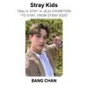 Stray Kids «Stay in STAY» на ВЫСТАВКЕ В ЧЕДЖУ «TO STAY, FROM STRAY KIDS» Официальная фотокарточка