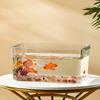 Eco-Friendly Desktop Fish Tank: Plastic Turtle & Fish Habitat with Imitation Glass, Micro Landscape Design for Home/Living Room Décor