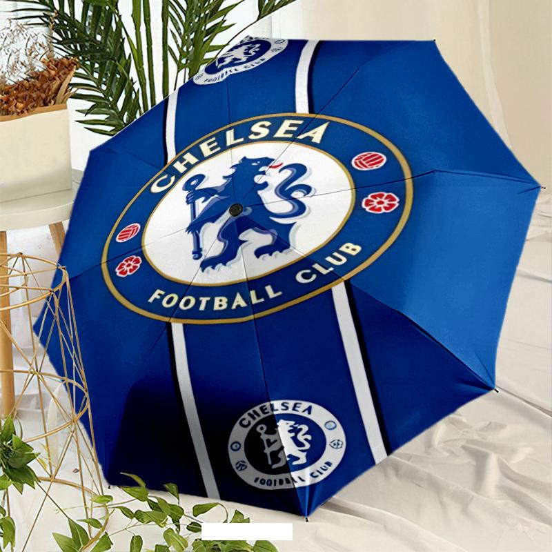 C-Chelsea Umbrella with Automatic Open/Close & Self-8-Rib Heavy-Duty Umbrella, Compact Travel Umbrella Suitable for Outdoor