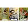 10.3*6cm The Witches’ Wisdom Tarot A 78-Card Deck