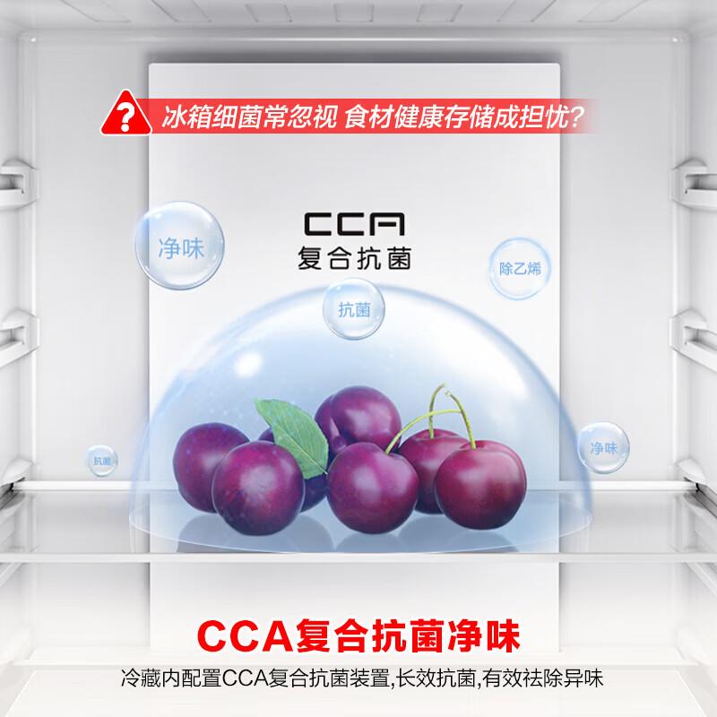 Hisense Rongsheng 261L Refrigerator