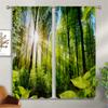Natural Scenery 3d Print Decoration Decorative Curtains, Living Room Bedroom Kitchen Semi-Blackout Curtains 2PCS