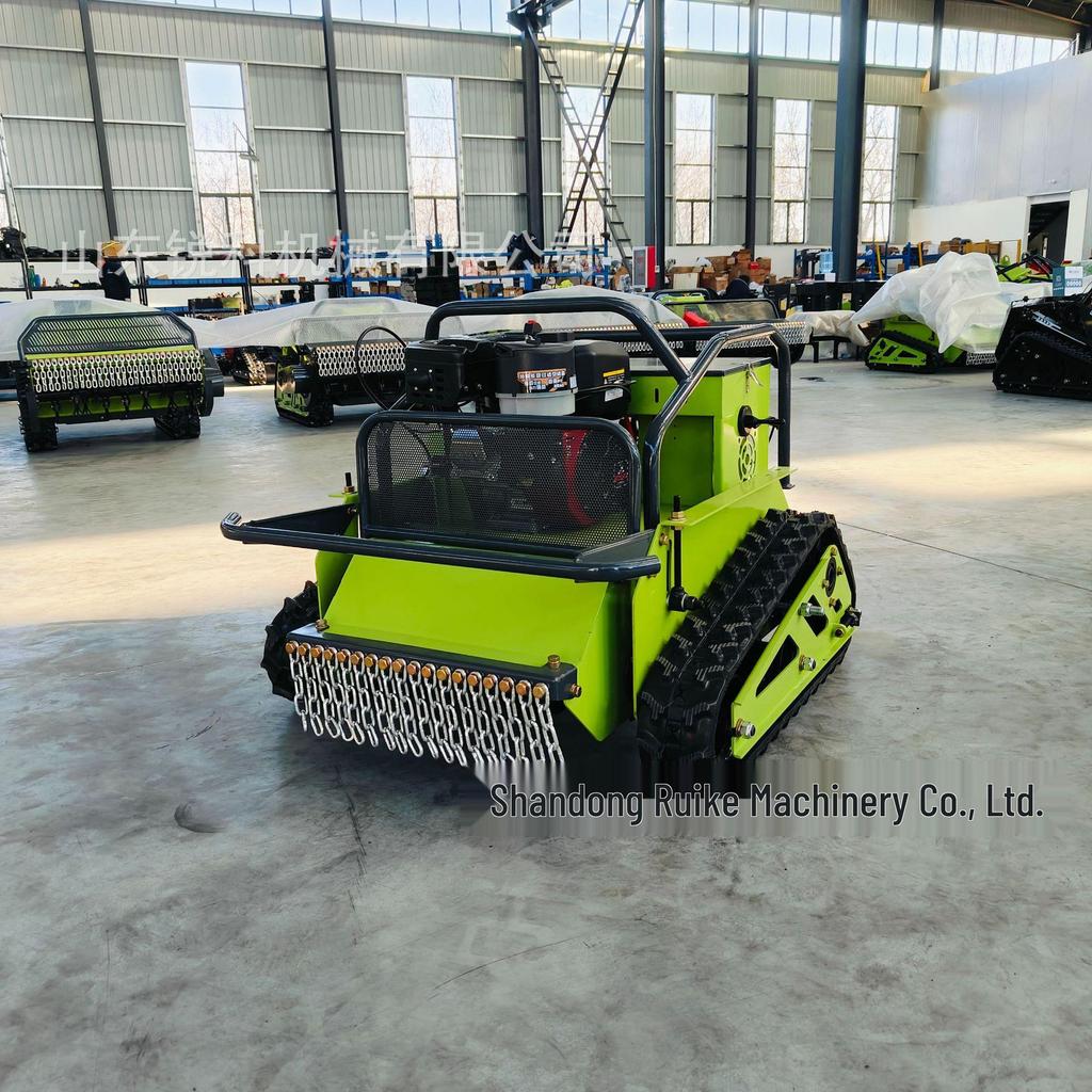 Compact Crawler Slope Mower: Grass Cutting & Reclamation Machine