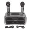 ST-2028 Портативная караоке-система Bluetooth Караоке-машина с 2 микрофонами для свадебной вечеринки
