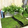 Hao Gong Bang Artificial Moss Wall Grass Mat