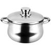 Casserole 24 Cm Induction Stainless Steel Lid for All Stovetops FAGOR Silverinox Silver 00994