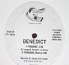 12-дюймовая пластинка BENEDICT Paradise FT1016 Future Tell 1994 Канада Танцевальная Электроника Б/у