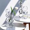 Romantic Glass Vase Simple Spherical Flower Vase Hydroponic Flower Pot  Living Room
