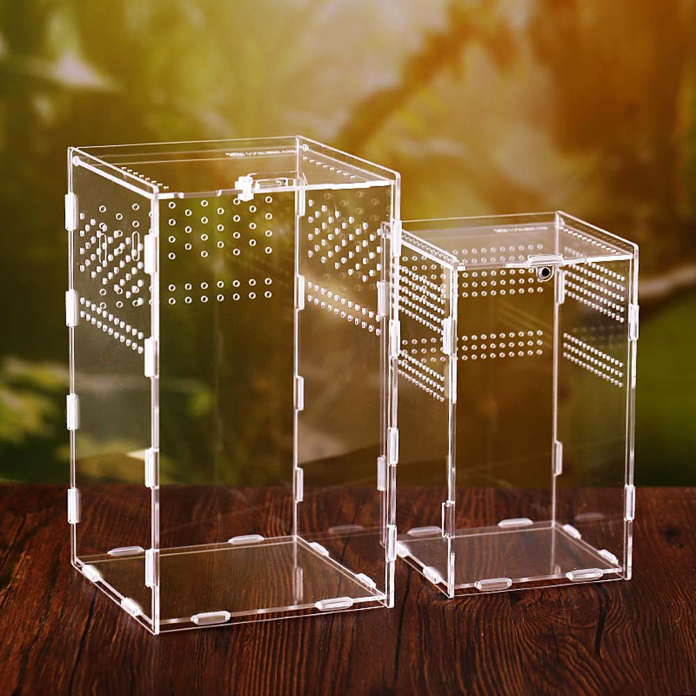 Hatcher Lizard Container Insect Breeding Box Hatching Terrariums Reptile Incubator Insect Supplies