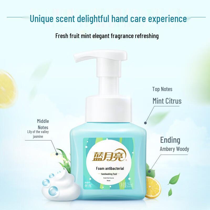 Blue Moon Foaming Antibacterial Hand Wash (Fresh Fruit Mint)