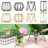 Ornament Plants Frame Hydroponic Vase Terrarium Metal Holder Glass Planter Iron Geometric Pattern