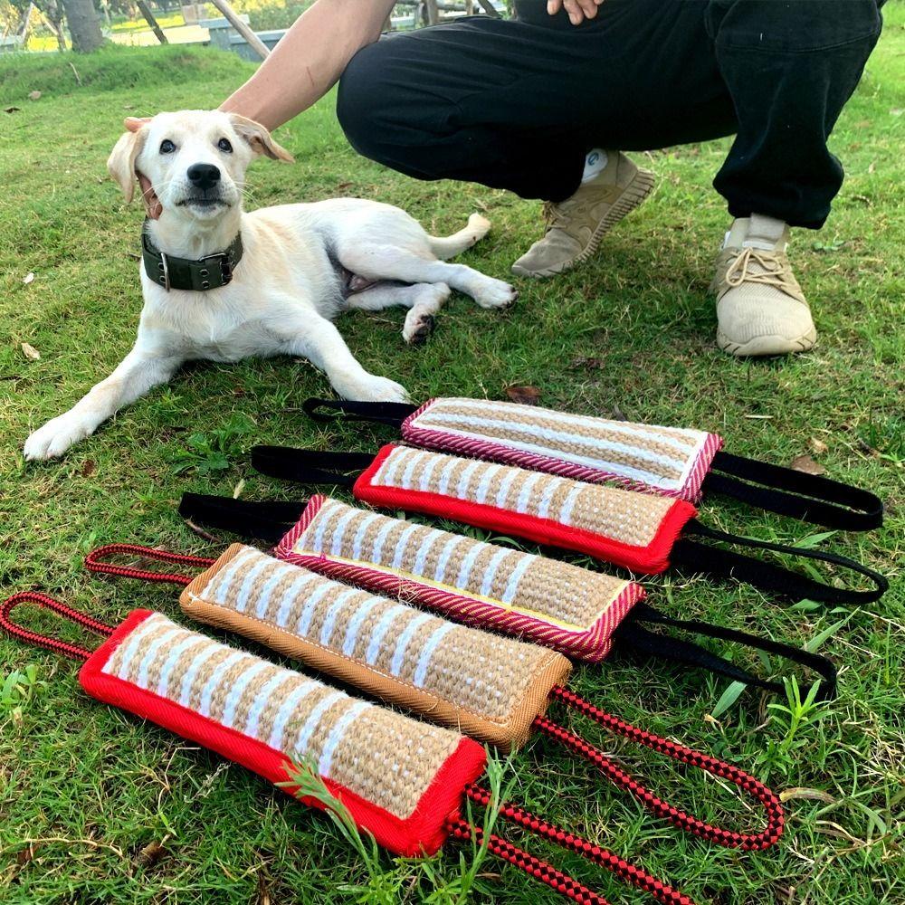 Puppy Chewing Bite-resistant Dog Bite Pillow Rope Handles Interactive Dog Tug Durable Pet Chew Sticks Teeth Grinding