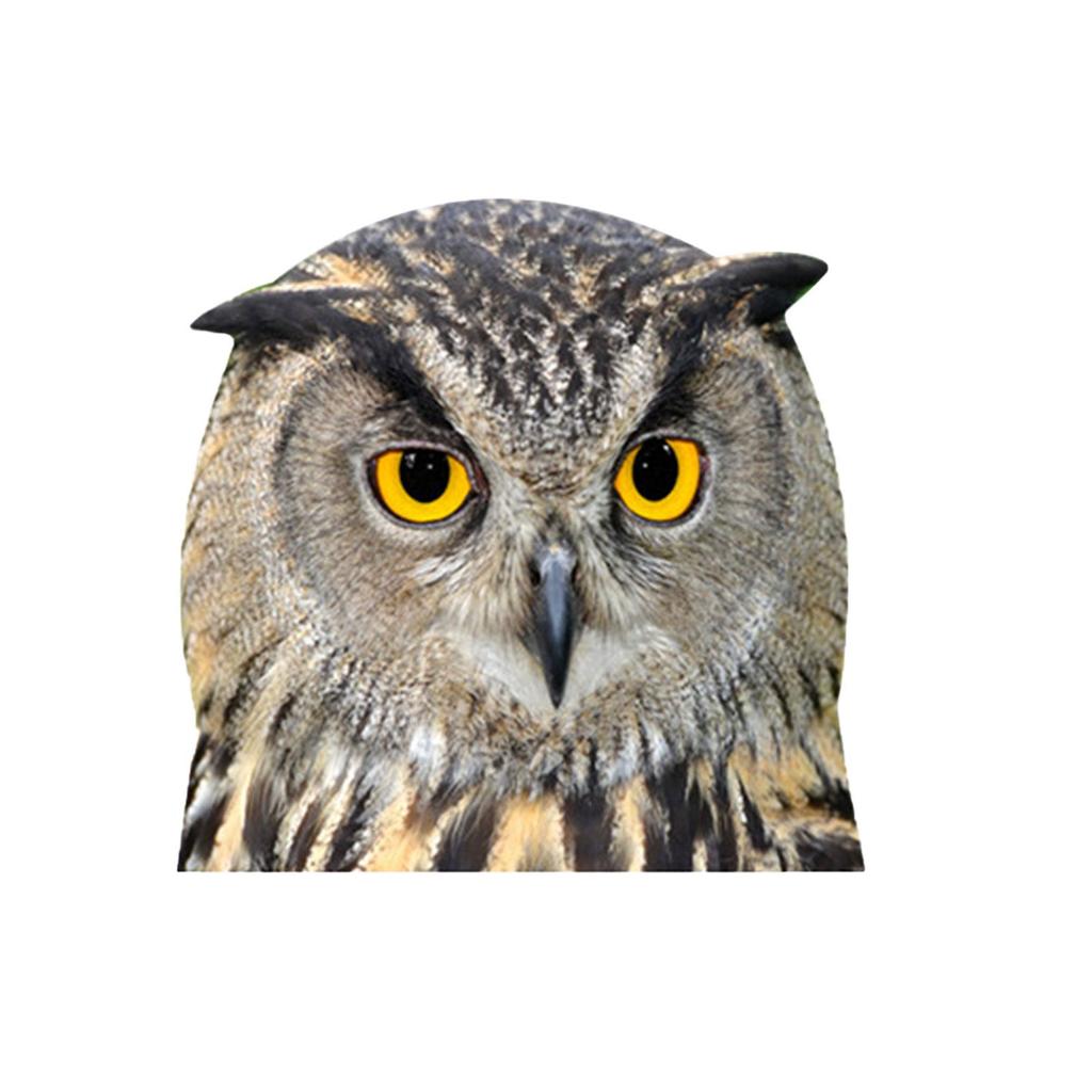 Наклейки на оконное стекло автомобиля, наклейка на автомобиль серии животных