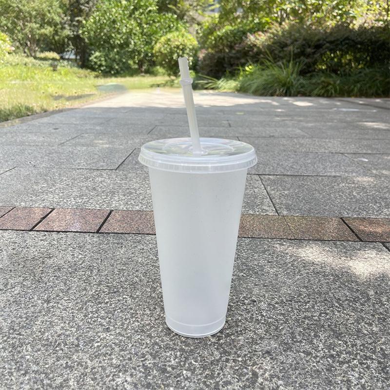 Чашка с трубочкой, кружки с крышкой, пластиковый стакан, матовая бутылка для кофе, чашка из ПП-пластика с трубочкой