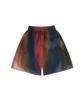 Peoseuneoloun Iced Ft Shorts_Multi
