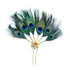 Peacock Feather Hairpin