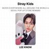 Stray Kids SKZOO ВЕЗДЕ ПО ВСЕМУ МИРУ В СЕУЛЕ POP-UP STORE НАГРАДА Официальная фотокарточка
