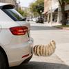 Faux Fur Tail Car Decoration Cute Fuzzy Rear Bumper Ornament Funny Fluffy Animal Tail Accessory for Car Truck and Scooter