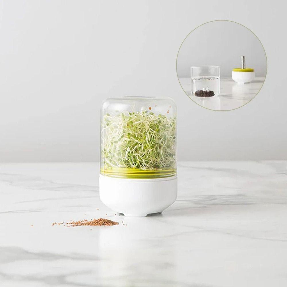 Mini Bean Sprouter Large Capacity Sprout Dish Growing Pot Bean Sprout Growing Machine Pea