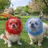 Adjustable Anti-Mosquito Headgear Breathable Anti-Bite Head Cover  for Small Dogs Cat